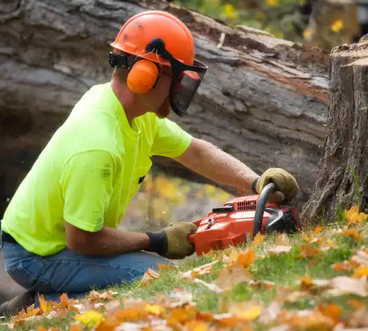 tree services Cave City